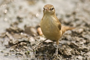 DSC_9909.jpg