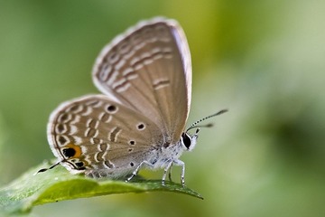 DSC_8861.jpg