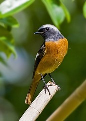 DSC_1134.jpg