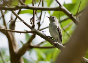 DSC_1085.jpg