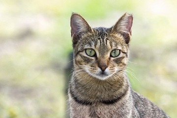 DSC_2629.jpg