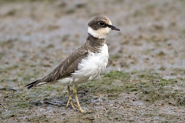DSC_1307.jpg