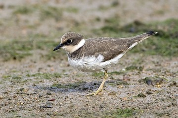 DSC_1336.jpg