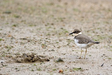 DSC_1356.jpg