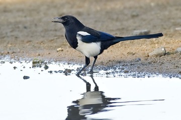 DSC_1899.jpg