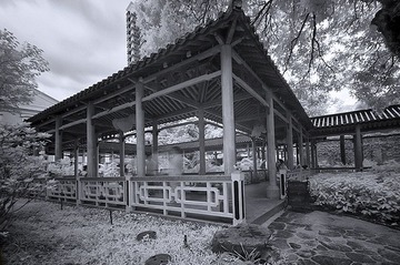 黑白红外13