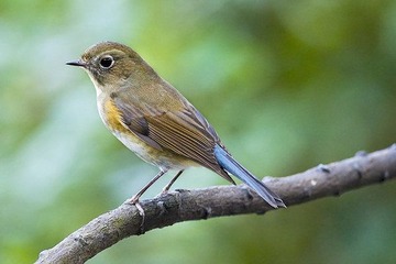 DSC_2877.jpg