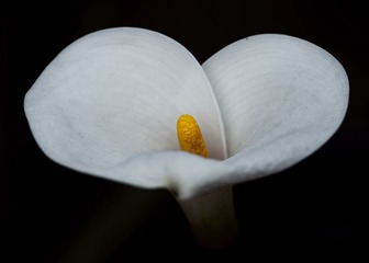DSC_5049.jpg