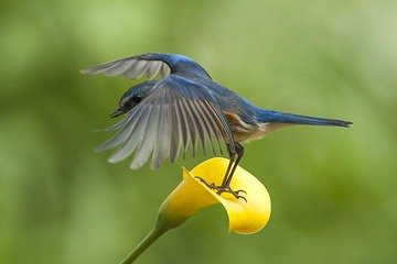 DSC_5631.jpg