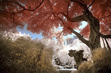 半色红外09