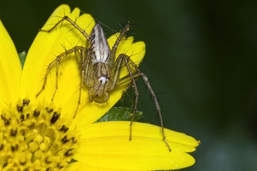 DSC_3436.jpg