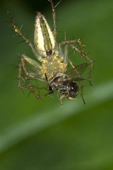 DSC_3442.jpg