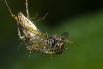 DSC_3447.jpg