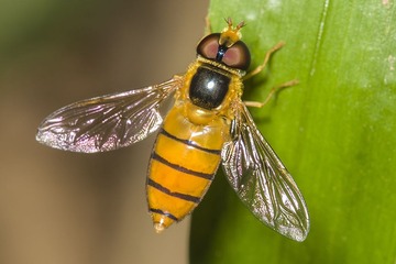 DSC_3541.jpg