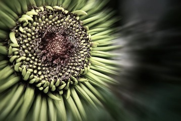 P1010618
