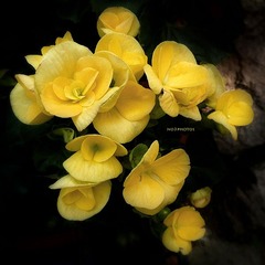 P1150561