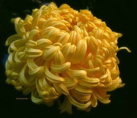 P1150722
