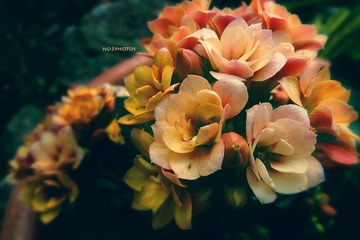 P1170015