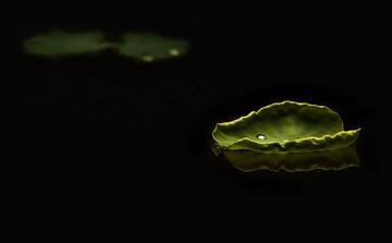 萍水相逢