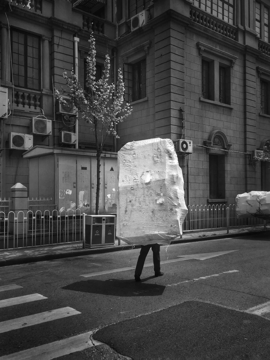 有白色鸟群栖息的城市 - 武汉, 纪实, 月赛 - 俞诗