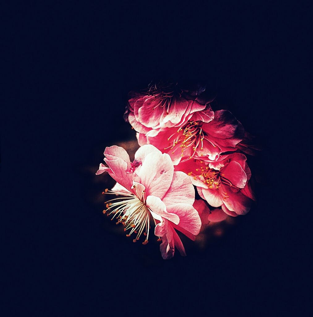陌上花开<br />
可缓缓归矣