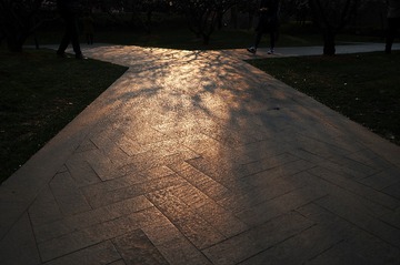 DSC_6157-1