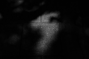 DSC_2226-1