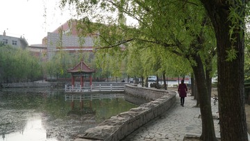 DSC00306_1