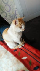 IMG20160204153258__编辑