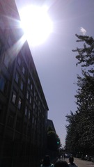 IMG_20160515_145926