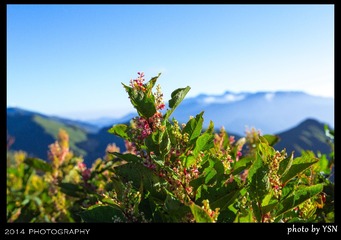 IMG_2363_