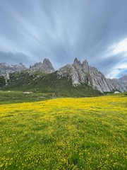 IMG_4420