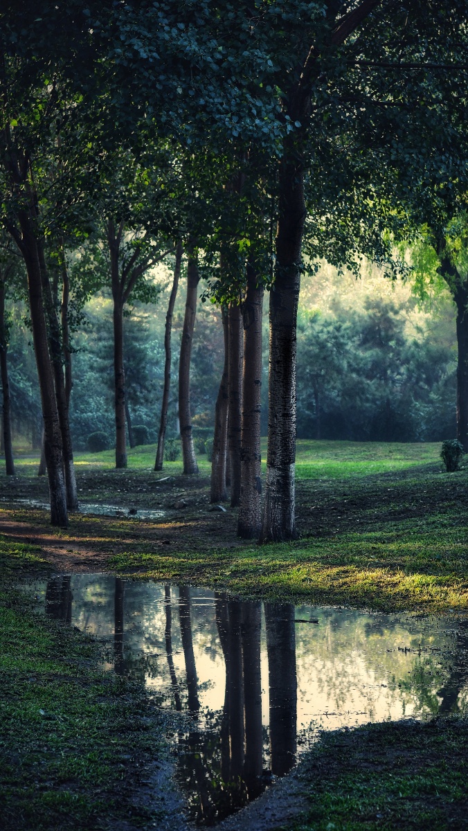 雨后