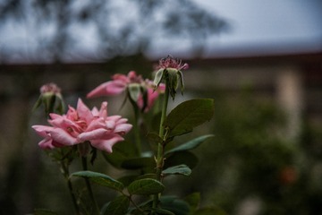 LRM_EXPORT_20160909_193902