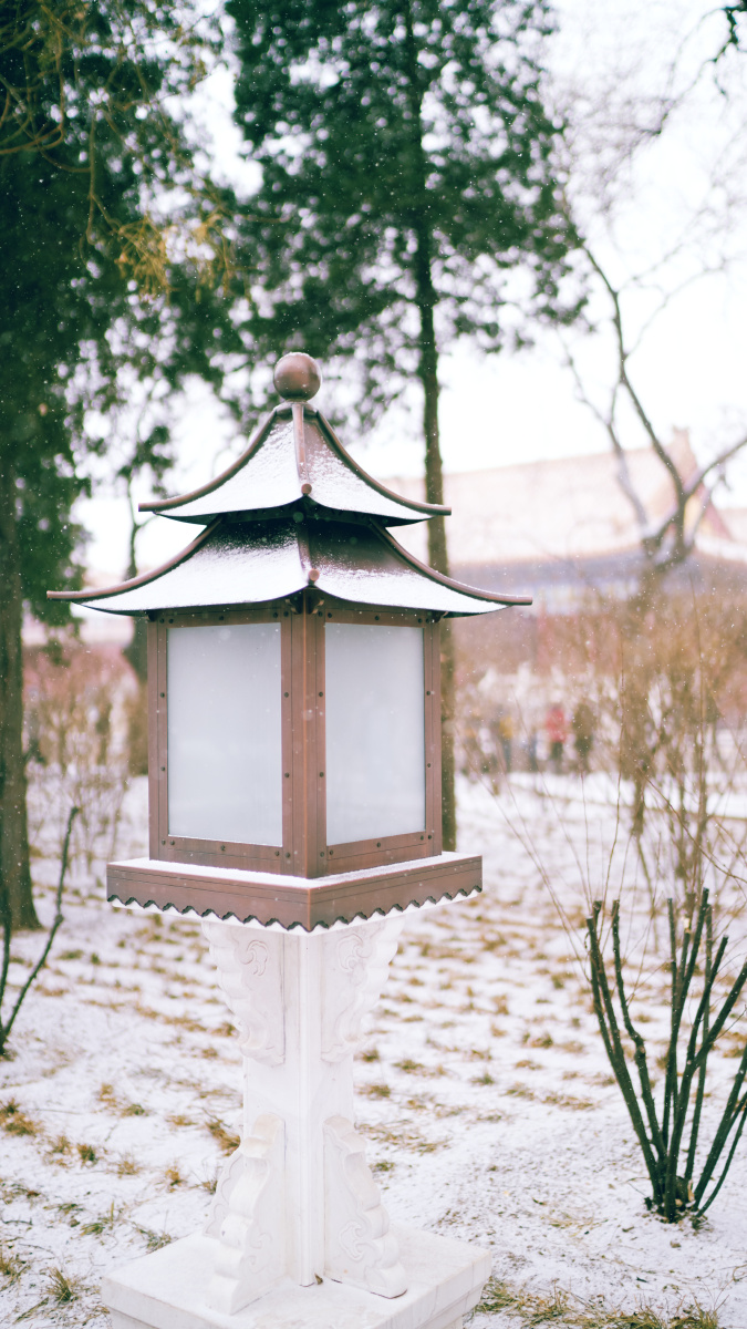 邀饮一杯故宫雪