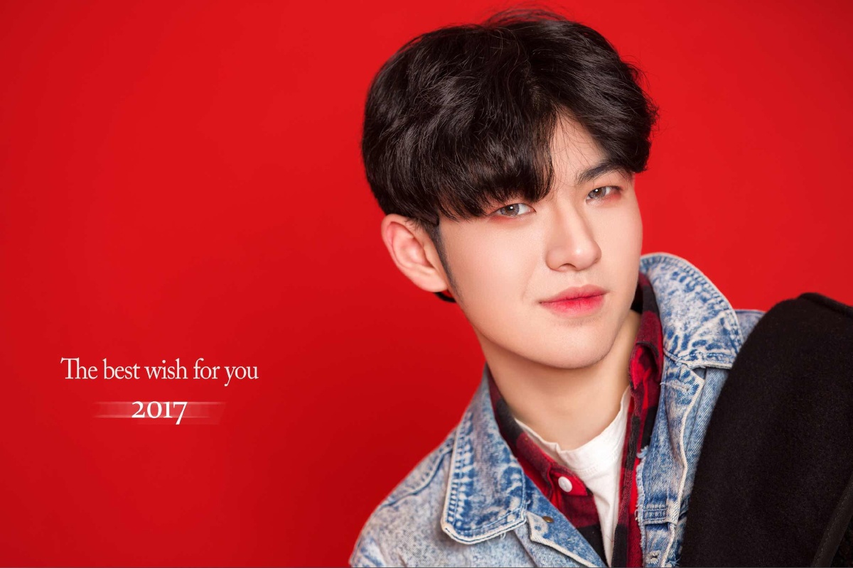 十八岁清新俊逸美少年