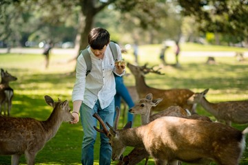 _DSC7882-1