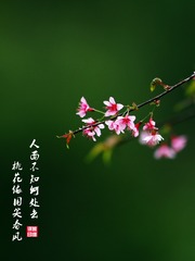 5180792