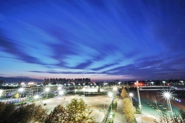 DSC06810-01