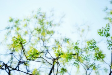 DSC02251-01-01-01