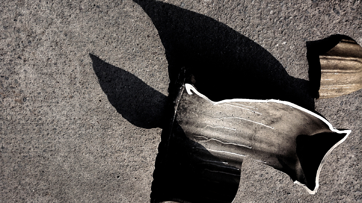 街头摔碎的罐子和影子里藏着的飞鸟