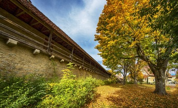 _82P0564(1)