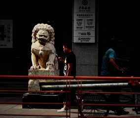 DSC_6.20