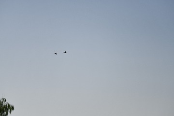 6C303C5F-8C35-4C43-8FEB-BBE8BA036AB7/L0/001