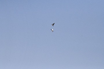6B7C0A9B-F07D-40DC-BA61-AF5353971D67/L0/001