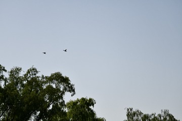 E62F0911-F725-460B-802A-CE92DA08ABBD/L0/001