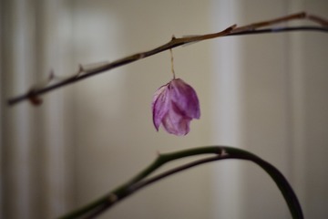 第二天3