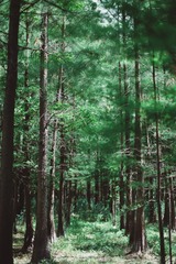 61081EA6-D1DF-4F12-AAF4-10236A2DEED5/L0/001