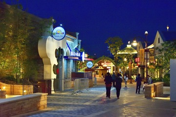 10.迪斯尼小镇