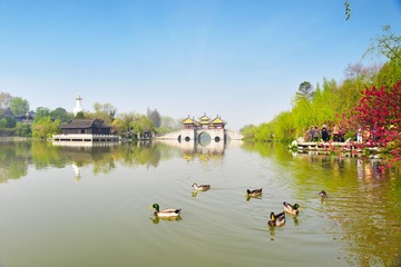 5.DSC_1614